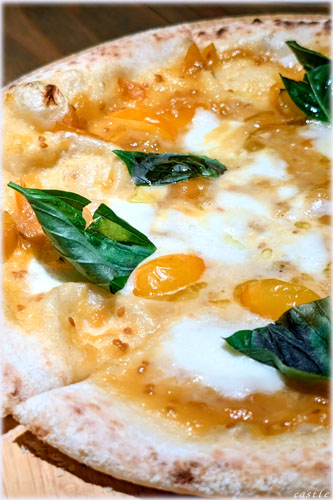 ���E�K�u���V���X