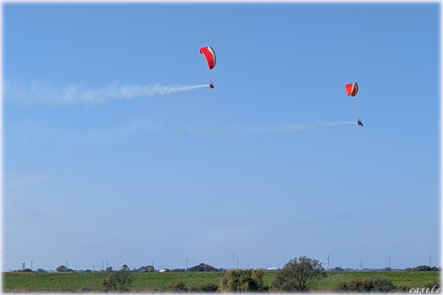 �p�����[�^�[