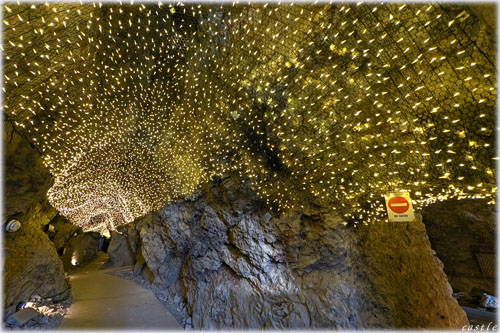 �]�̓��̓��A