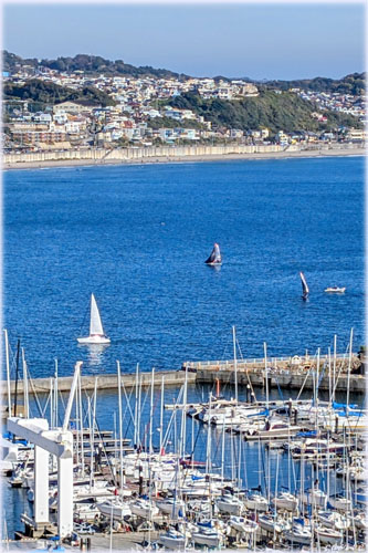 ���b�g�n�[�o�[