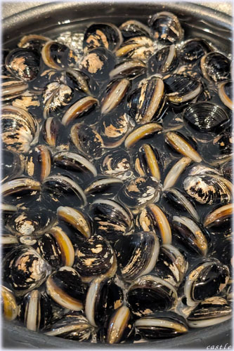 �����΂̃V�W�~