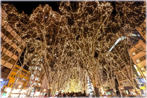 �����̃y�[�W�F���g