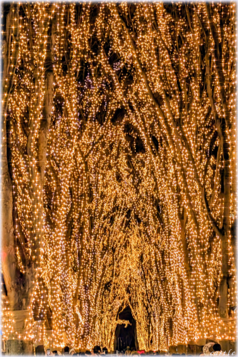 �����̃y�[�W�F���g