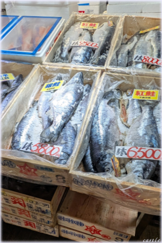 �����s��