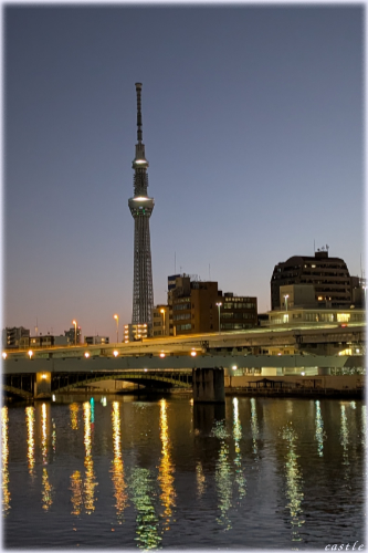 �V�N������