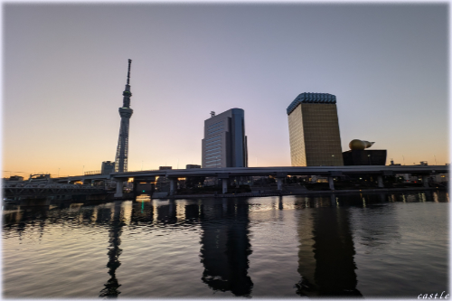 �V�N������