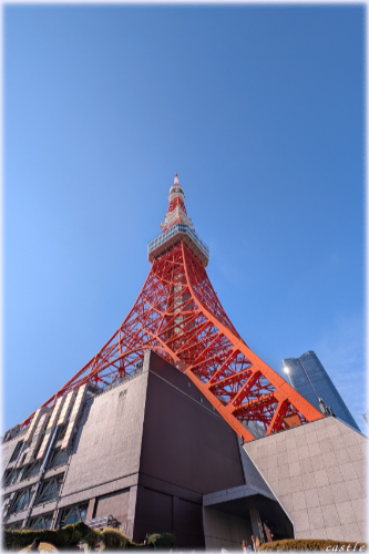 ���̓����^���[