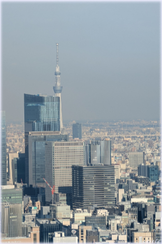 �����^���[����̌i�F