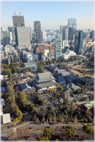 �����^���[����̌i�F