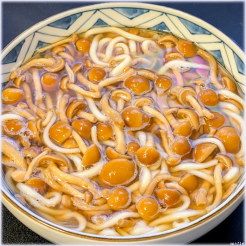 �Ȃ߂����ǂ�